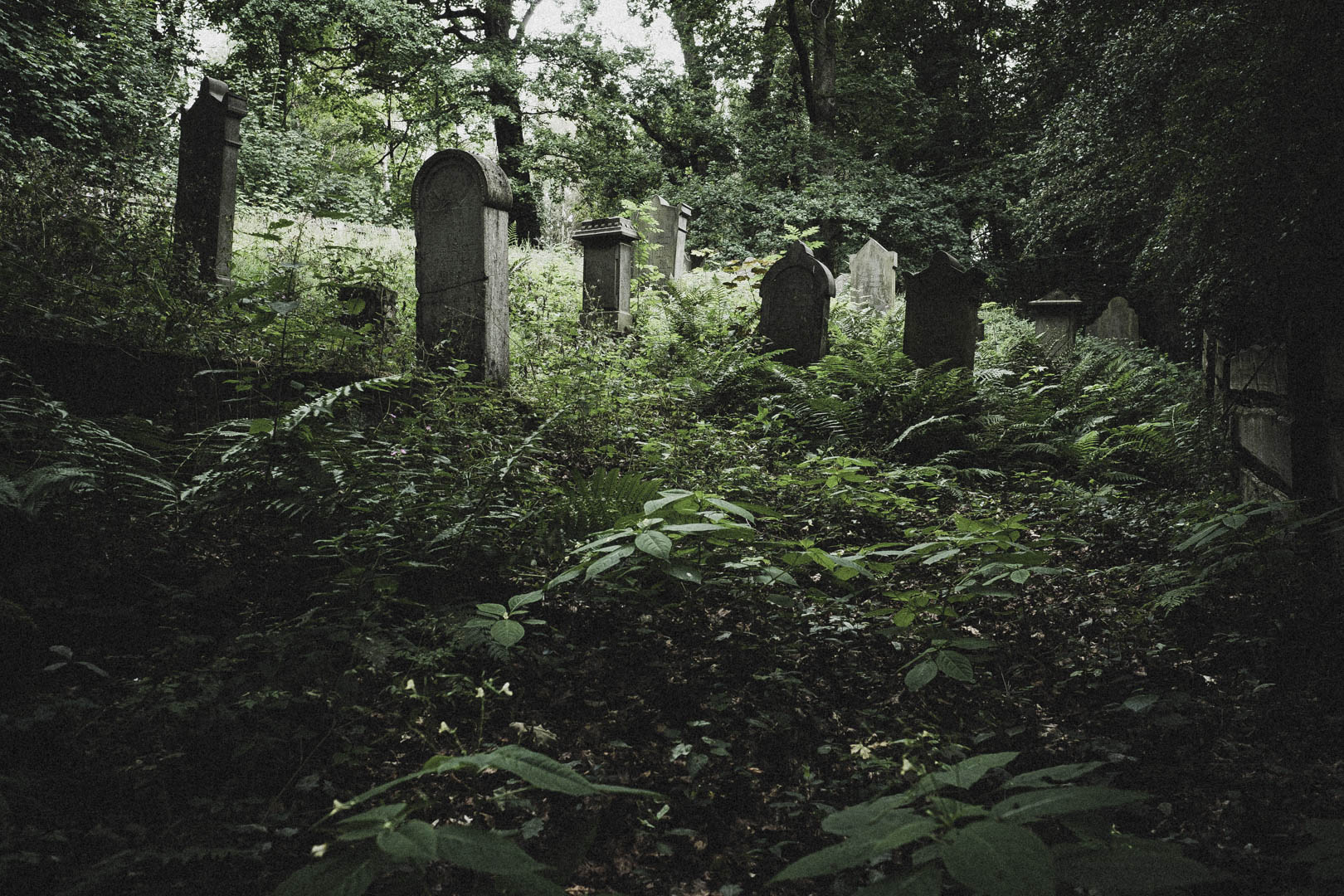 Obernkirchen, Jüdischer Friedhof